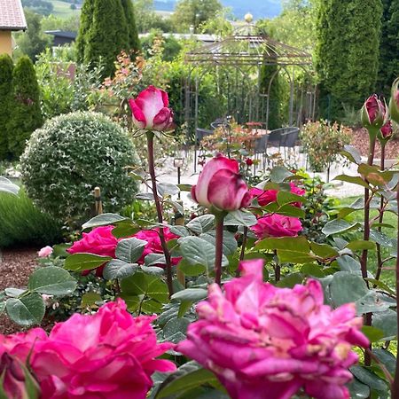 Bed And Breakfast Mittelkaernten Althofen  Dış mekan fotoğraf