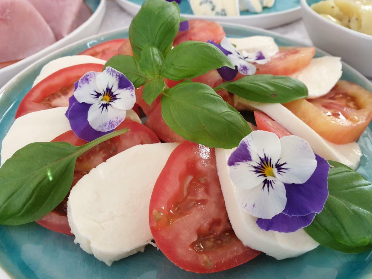 Bed And Breakfast Mittelkaernten Althofen  Dış mekan fotoğraf
